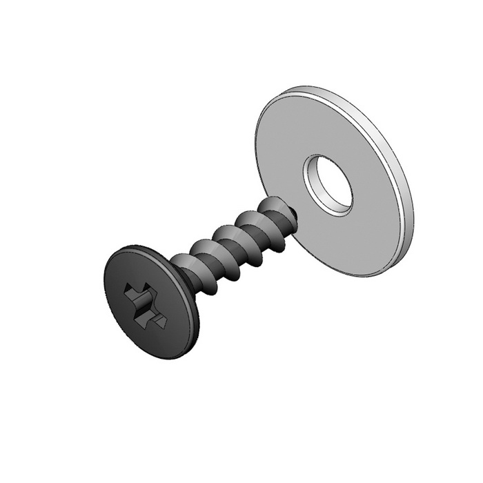 Strap Mounting Screw with Washer