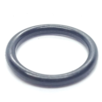 Fasco O-Ring